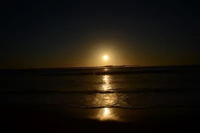 DSC_7082 (Large).JPG